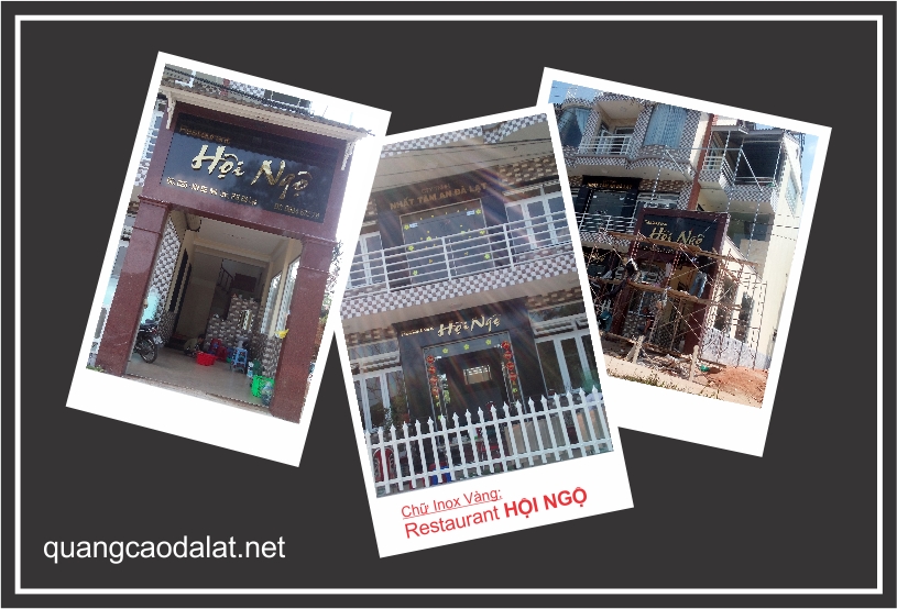 chu noi inox vang