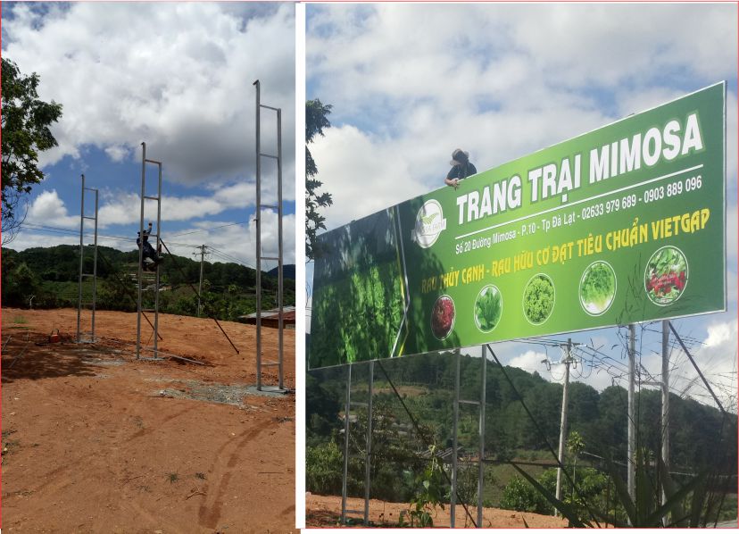 thi cong pano cho trang trai mimoza da lat